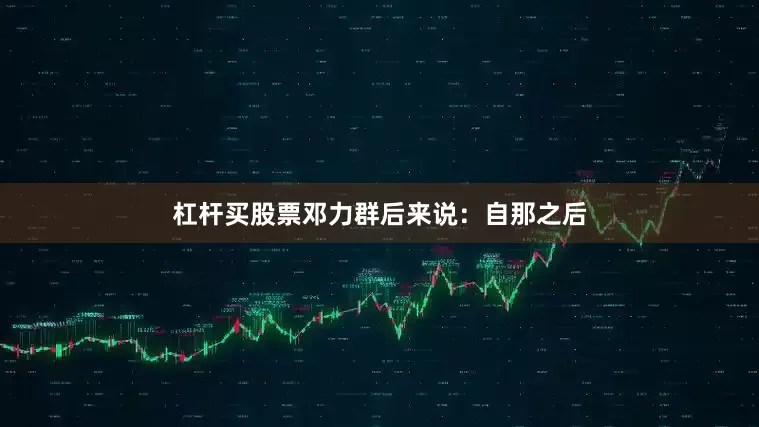 杠杆买股票邓力群后来说：自那之后